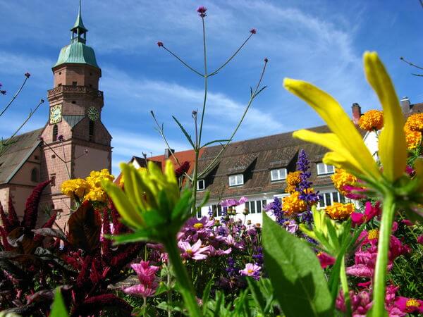 Freudenstadt