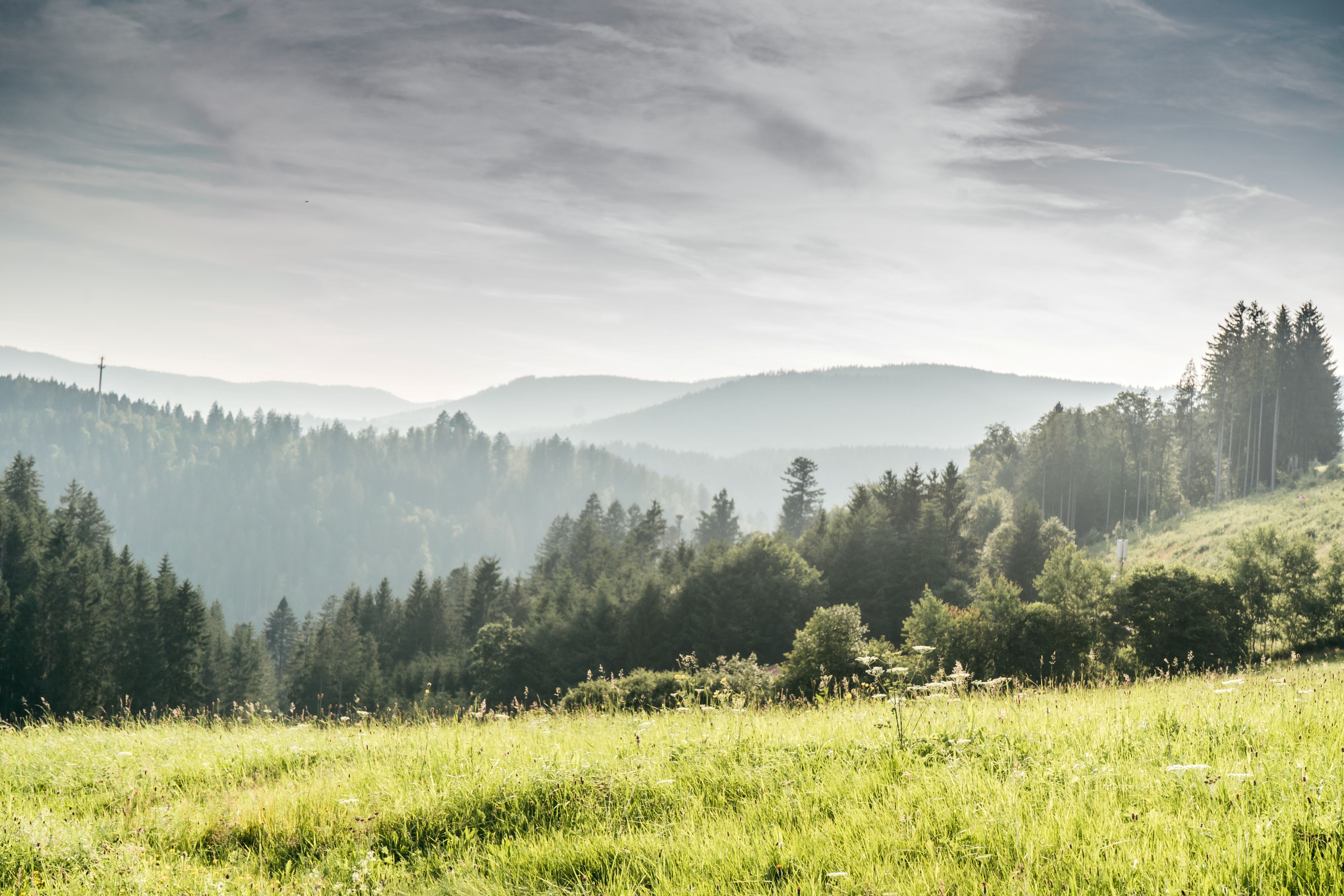 Baiersbronn Trail- und Genusscamp