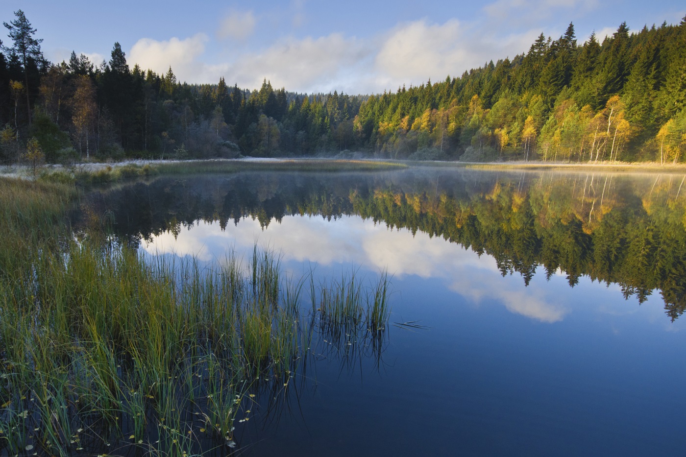 Drei Seeenradweg, Hochschwarzwald