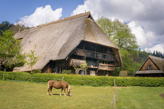 Vogtsbauernhof mit Pferd 