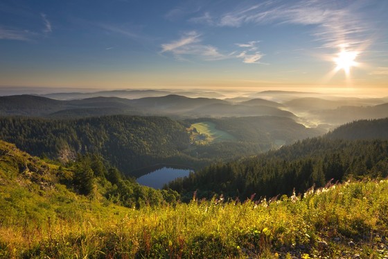 Feldsee, Hochschwarzwald