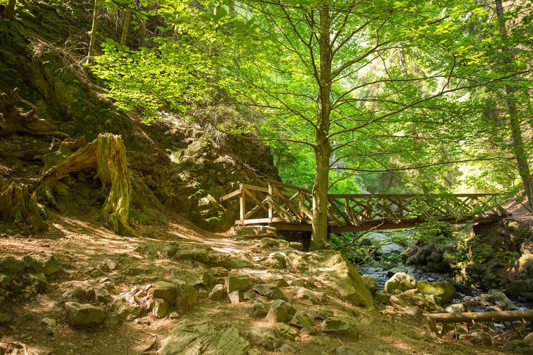 Heimatpfad-Hochschwarzwald