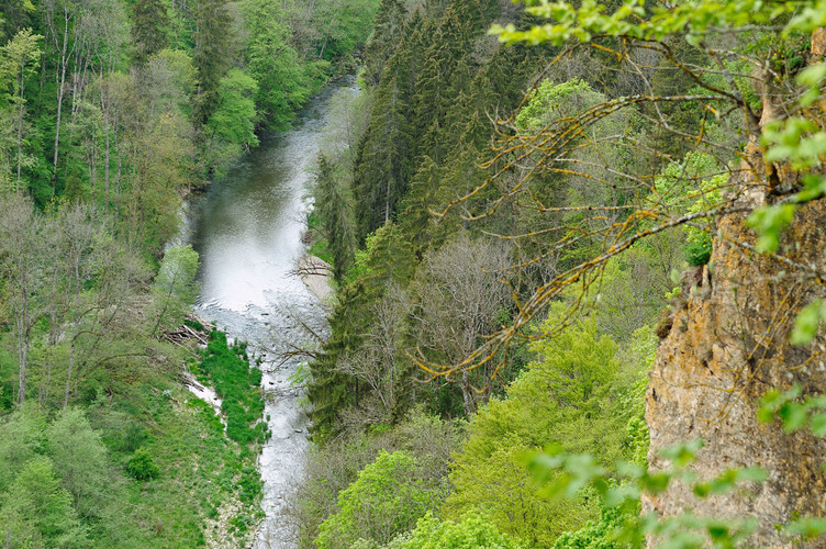Blick in die wildromantische Schlucht mit stiebenden Wasserfontänen