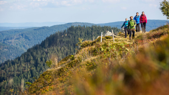 Wandern im Hochschwarzwald