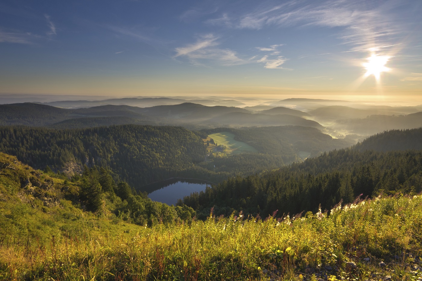 Feldsee, Hochschwarzwald