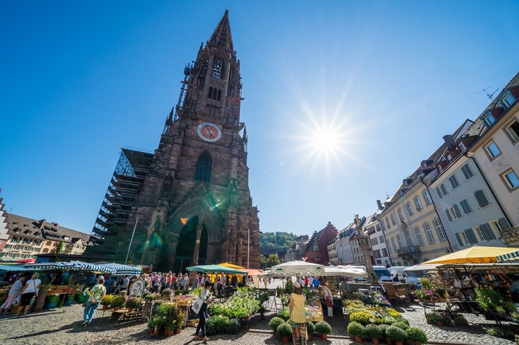 Freiburg Münstermarkt