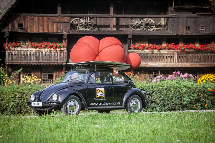 Bollenhutauto